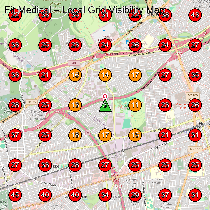 Fit Medical GeoGrid visibility map for Medical Spa in Jericho